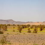 Noche en el desierto de Merzouga: que esperar