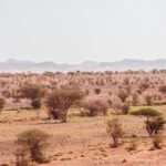 Ouarzazate, el Hollywood del desierto marroqui