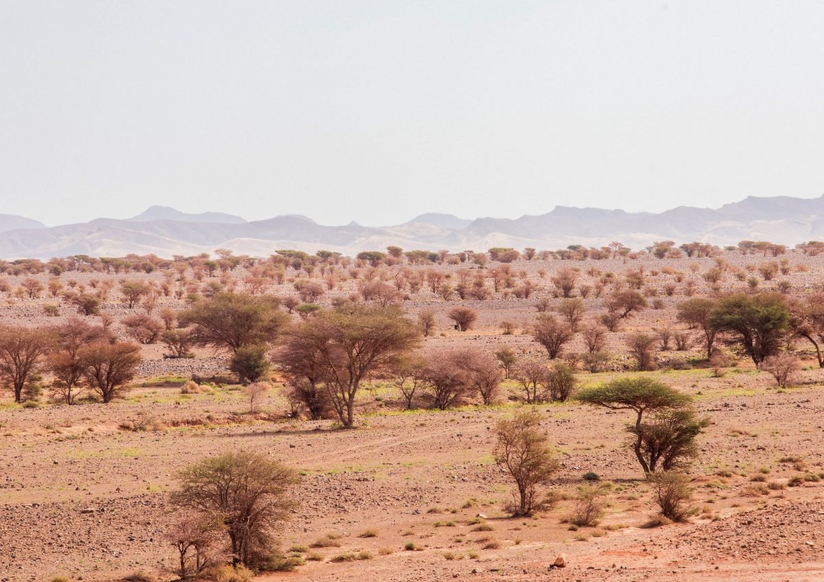 Ouarzazate, el Hollywood del desierto marroqui